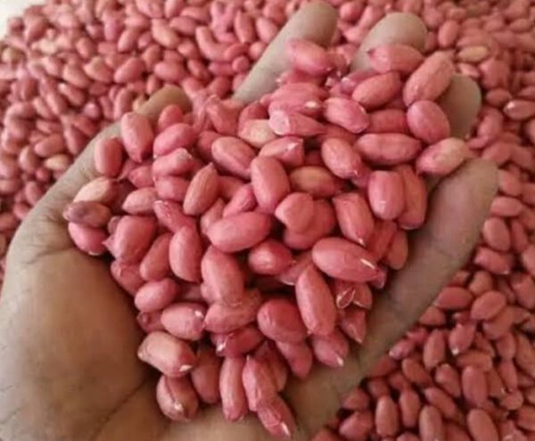 Sweet Groundnut seeds Bag