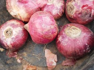 Onion 1Kg