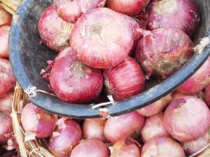 Onion 2Kg