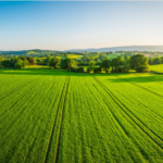 Green Farming