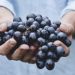 Organic Solutions