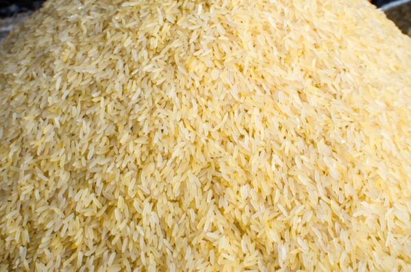 Rice