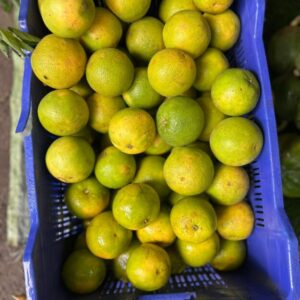 Basket of Orange